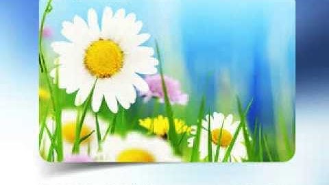 Nature and Beauty PowerPoint Template by PoweredTemplate.com