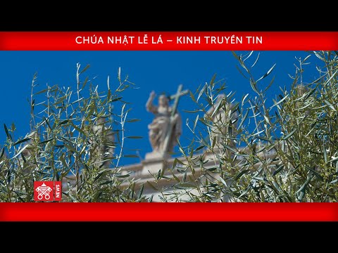 Truyền hình trực tiếp Thánh lễ Chúa Nhật Lễ Lá và Chúa Nhật Phục Sinh do ĐTC cử hành tại Vatican