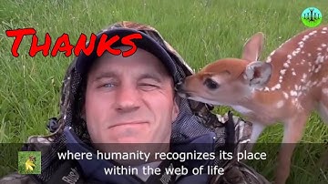 TREES WOODS FORESTS YouTube channel trailer