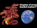 Seven headed snakes clapture in google earth  mystery of my geo
