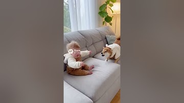 😂👶🐕 Matching Outfits = Absolute Chaos!