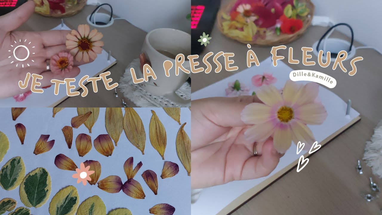 Je teste la PRESSE À FLEURS 🌸~ avec les fleurs de mon jardin. - YouTube