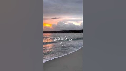 أرح سمعك 🤍🌿 ستوريات انستا قران كريم ايات قرانية قصيرة حالات واتس قران صوت #القارئ_عبدالله_الموسى 🤍🌿
