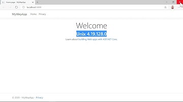 Visual Studio- Debugging with WSL 2