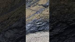 Man Films An Impressive Avalanche Up-Close