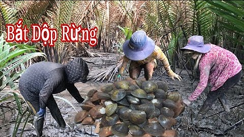 Cách Bắt Dộp KỲ LẠ Nhất Miền Tây @Đoàn 39 Vlog