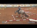 2020 AQHA 13 & Under Trail