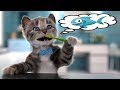 Minik Kedicik Okulda İlk Gün #Çizgifilm Tadında Yeni Oyun