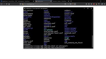 10 Bases de datos  MariaDB  VPS - Cyberpanel - DigitalOcean