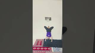 variation of hand stand#HealthySoEasyLife#yogapractice #dailyexercise #viral#ytshorts