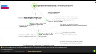 120 millions scientific Articles - uncovering knowledge graphs of citation and co-citations