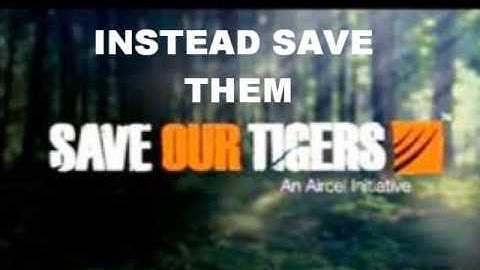 tigers in trouble:thundertigers.weebly.com
