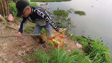 Câu cá dã ngoại Dĩ An | Hồ Bình An, cá tra, cá mè, phi lai la hán ...