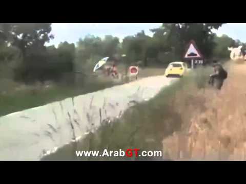 რბოლაში მონაწილე კურდღელი