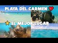 PLAYA DEL CARMEN🔴LA MEJOR PLAYA ACTUALMENTE😍SNORKEL IMPRESIONANTE❤️Y DONDE COMER 7 FEBRERO 2022