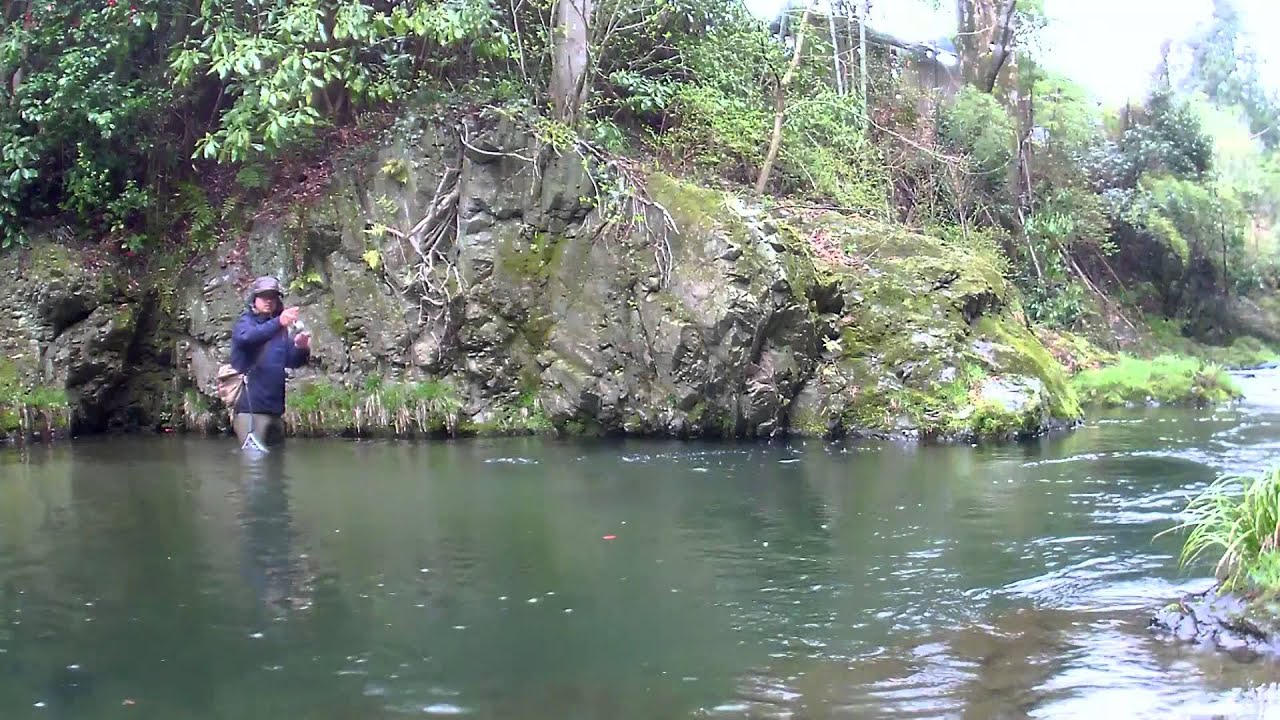 明日 釣りに行こう 北浅川解禁 Youtube 明日 釣りに行こう 北浅川解禁 Youtube