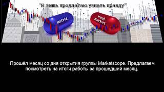 Marketscope итоги месяца работы