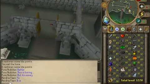 Runescape Changing All Skills To Level 120!? WTF