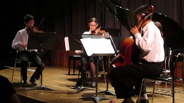 Schubert String Quartet #7 D.94 2nd Movement