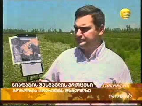 სადრენაჟე სისტემის რეკონსტრუქცია