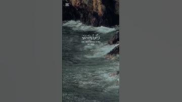 سورة المؤمنون - عبد الباسط عبد الصمد