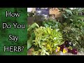 How to Pronounce HERB
