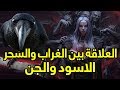 ماهى العلاقه بين الغراب والسحر الأسود والجن ماهى العلاقه بين الغراب والسحر الأسود والجن