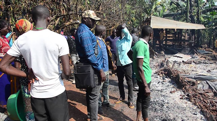 Agabuutikidde Omutuuze asobeddwa bakalittima bookezza enkokoze ezisoba mu 400 zifudde