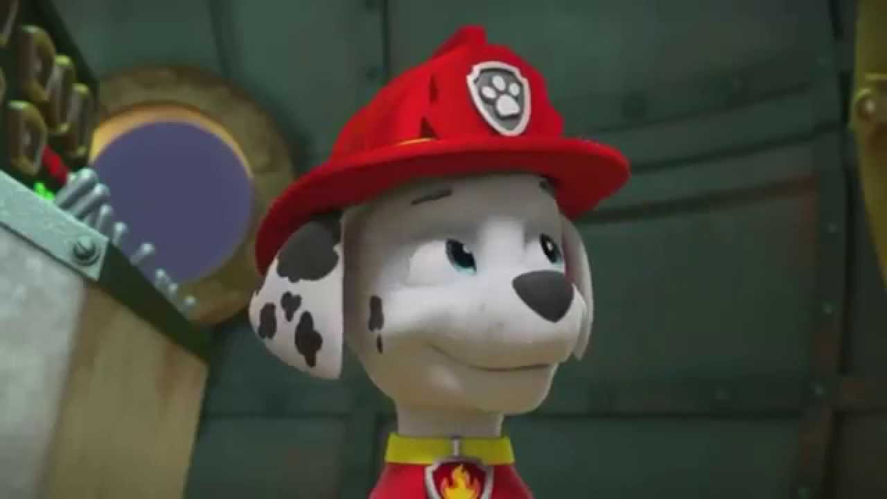 Paw Patrol Pups Save A Mer Pup Clip Youtube