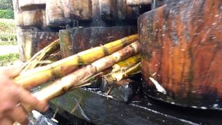 Como se hace jugo de caña de azucar/How is the sugarcane juice made