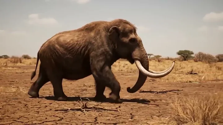 Life 2 Million Years Ago _ How Early Humans Thrived and Survived