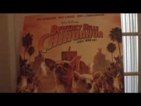INTERVIEW with GEORGE LOPEZ - BEVERLY HILLS CHIHUAHUA