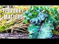 Nothings's growing - Why am I so busy?
