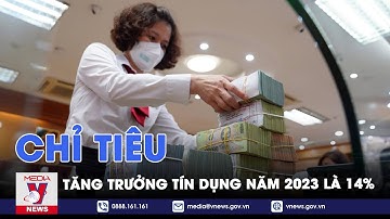 Chỉ tiêu tăng trưởng tín dụng năm 2023 là 14% - VNEWS