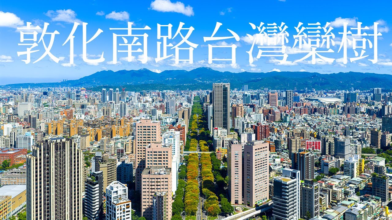 空拍TAIPEI 台北市敦化南路 台灣欒樹