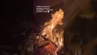 Ciğerim Yanıyor Yüreğim Kanıyor Olmasaydı Sonumuz Böyle