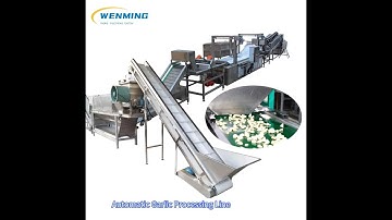 Full Automatic Garlic Peeling Line Garlic Peeling Machine Production line Garlic Processing Line