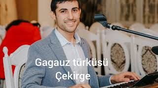 Гагаузская Музыка Чекиргя (Кузнечик) Gagauz Türküsü Çekirge