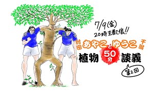 【生配信】植物50分談義 vol.2 シマトネリコ