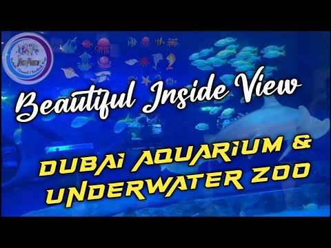 Dubai Aquarium & Underwater Zoo || Amazing Inside View ||