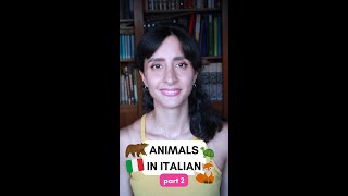 Let&#39;s learn together how to name these animals in Italian! (pt. 2) 🐺 #animalsinitalian