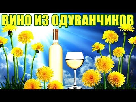 видео: ВИНО ИЗ ОДУВАНЧИКОВ - РЕЦЕПТ