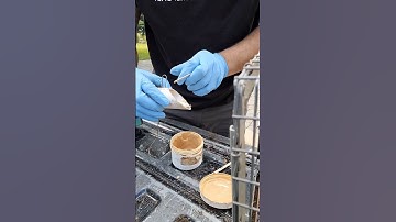 How To Bait A Cage Trap For Skunks With SkunkOmatic. #shorts #skunk #wildlife #animals #pestcontrol