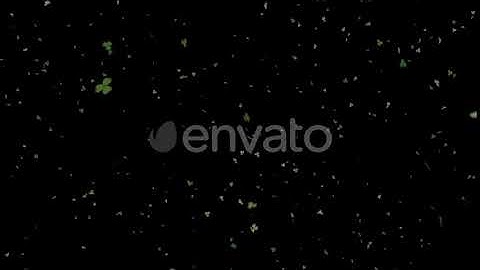 Leaf Falling | Motion Graphics - Envato elements