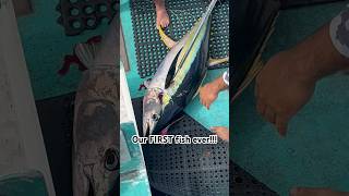 Massive Hawaiian Yellowfin