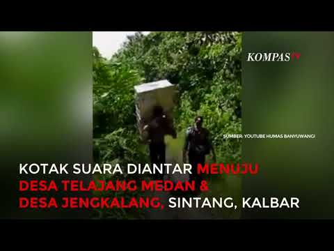 Bikin Haru! Dua Polisi Ini Gendong Kotak Suara Tembus Hutan