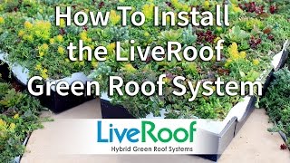 How to Install a Green Roof Using the LiveRoof System