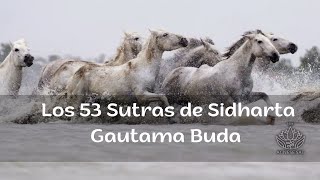 Los 53 Sutras Buda