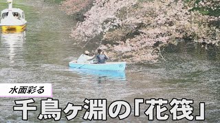 千鳥ヶ淵の「花筏」