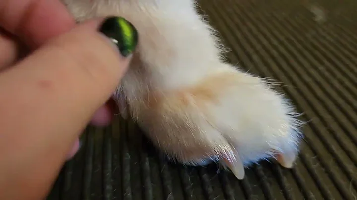 White nails Before